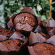 Muffina czekoladowa (8szt.)
